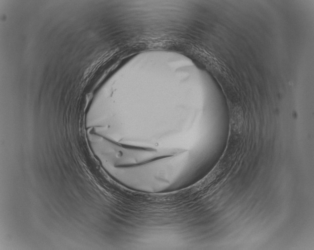 X0000068750740200605191558
