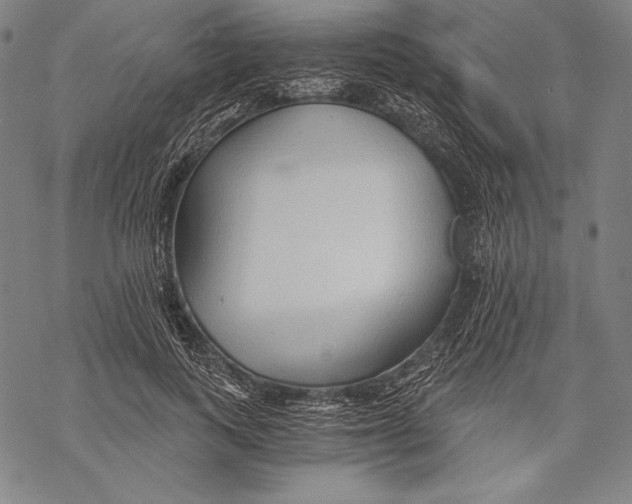 X0000068750743200605191558