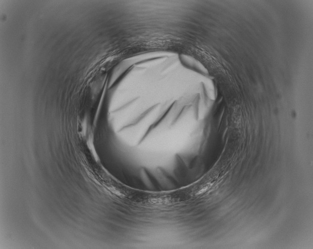 X0000068750744200605191558