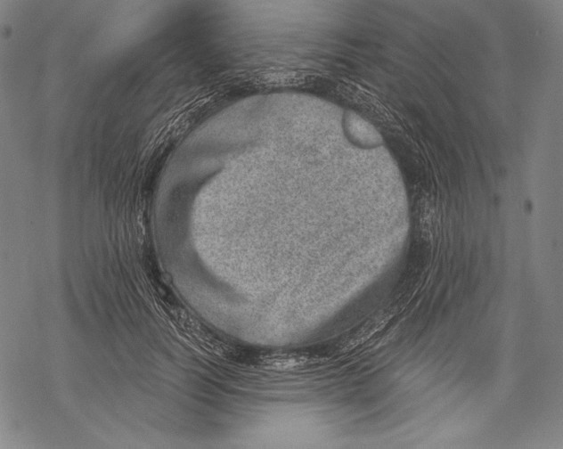 X0000068750746200605191558