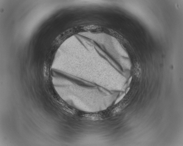 X0000068750763200605191558