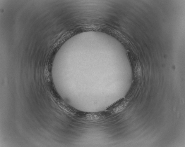 X0000068750764200605191558