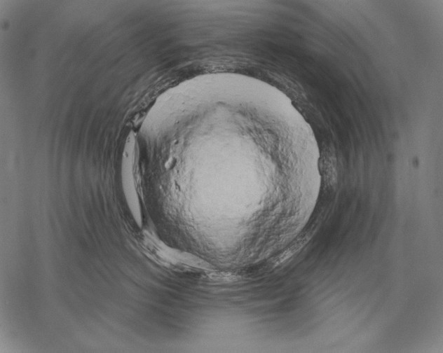X0000068750766200605191558