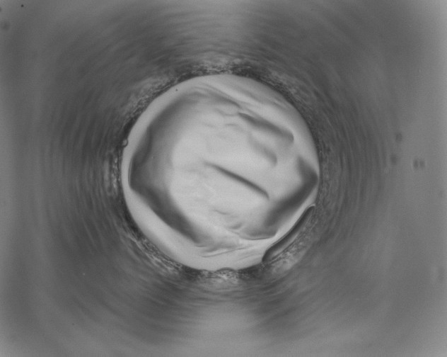 X0000068750768200605191558