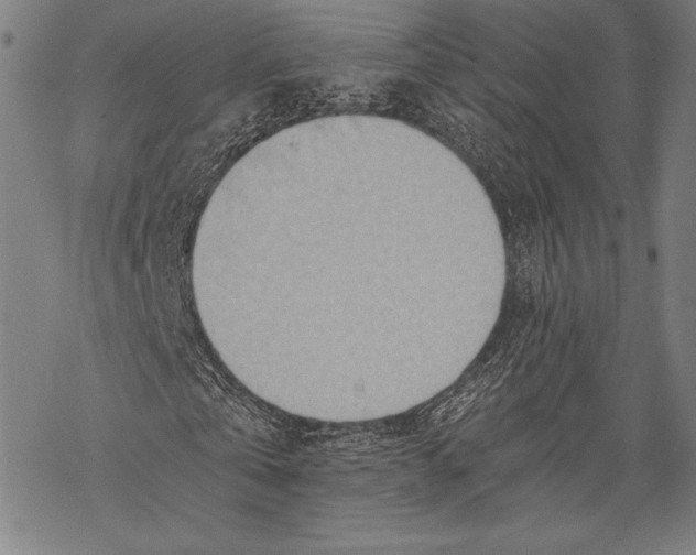 X0000068750769200605191557