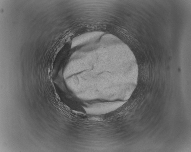 X0000068750770200605191557