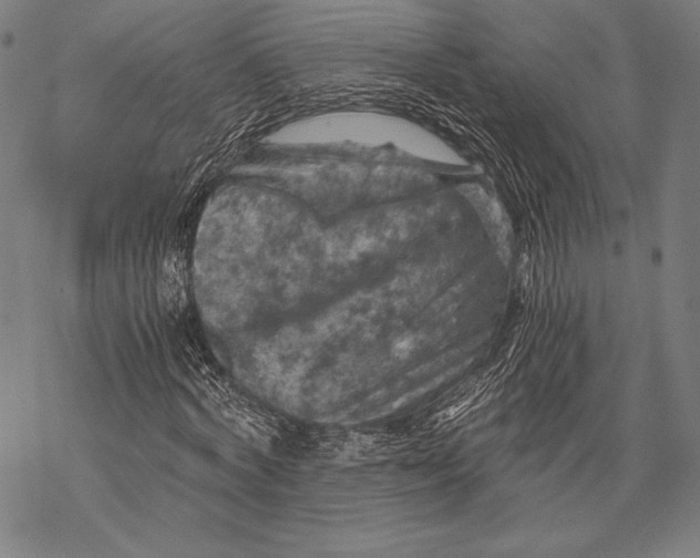 X0000068750772200605191557