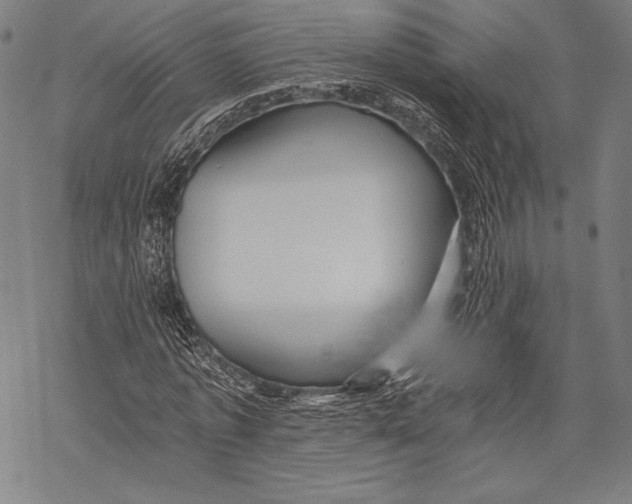 X0000068750773200605191557