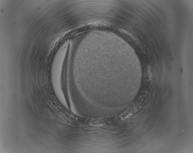X0000068750776200605191557