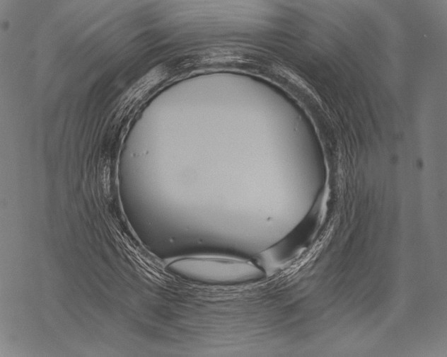 X0000068750777200605191557