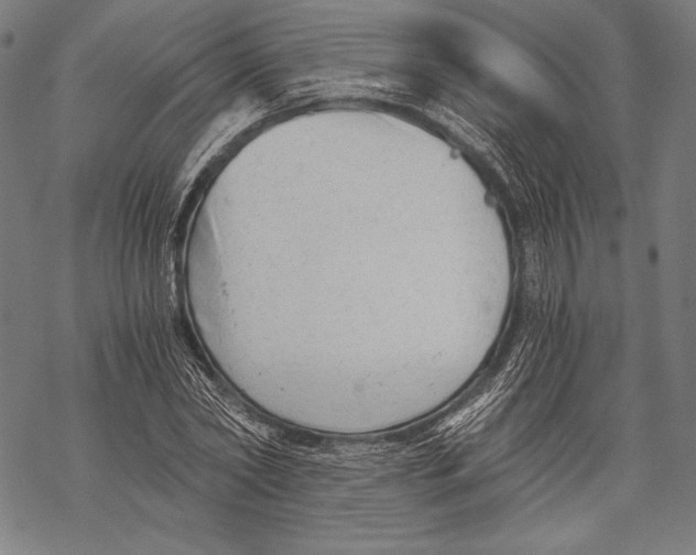 X0000068750782200605191557