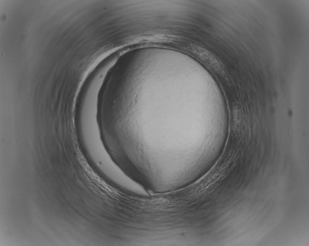 X0000068750784200605191557