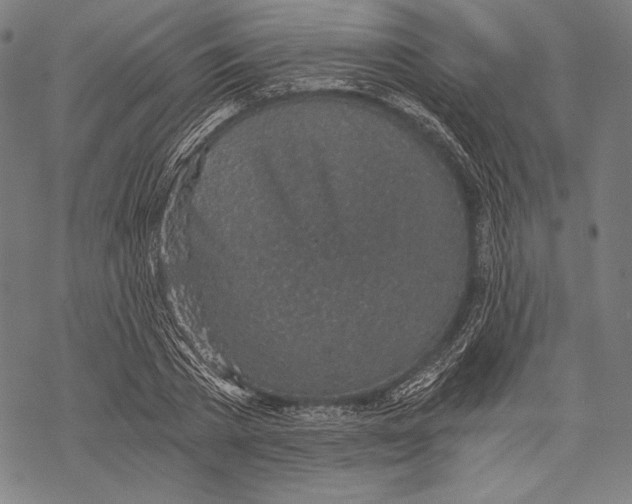 X0000068750785200605191557
