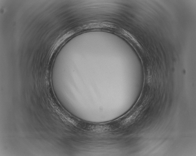 X0000068750786200605191557