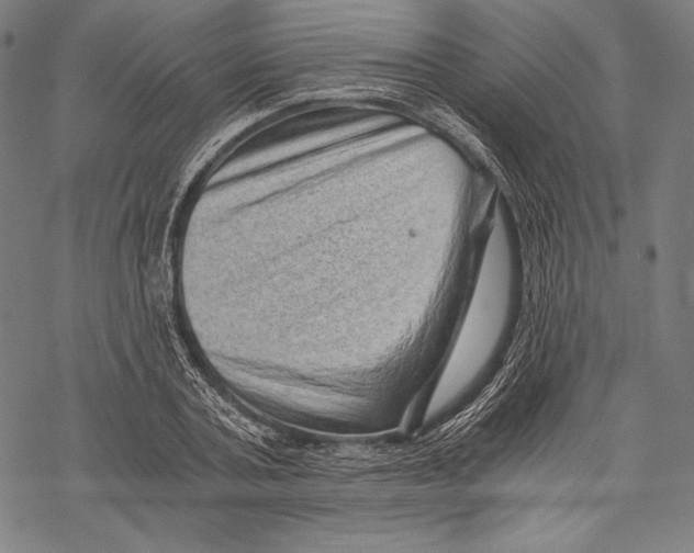 X0000068750787200605191557