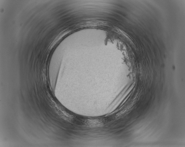 X0000068750794200605191557