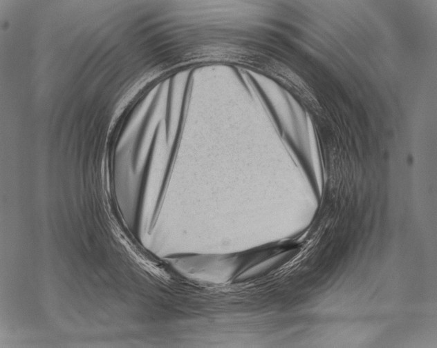 X0000068750796200605191557