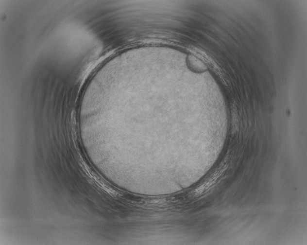 X0000068750798200605191557