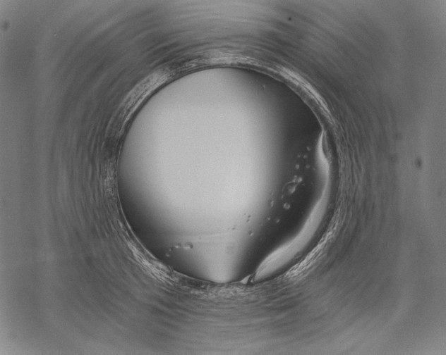 X0000068750801200605191557
