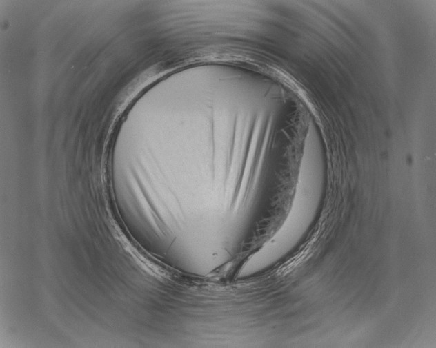 X0000068750803200605191557