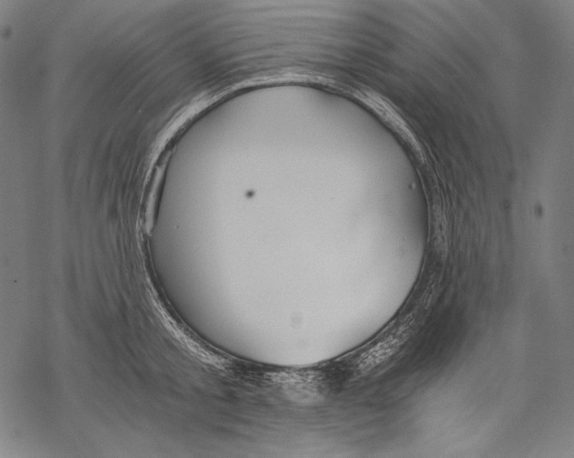 X0000068750805200605191557