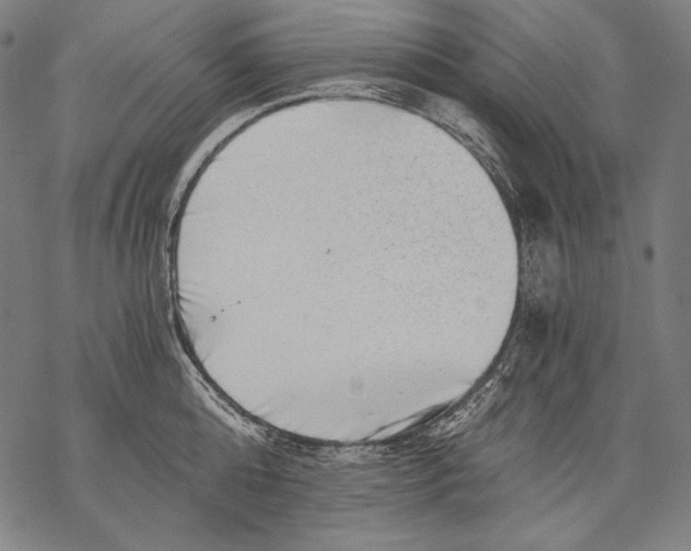X0000068750808200605191557