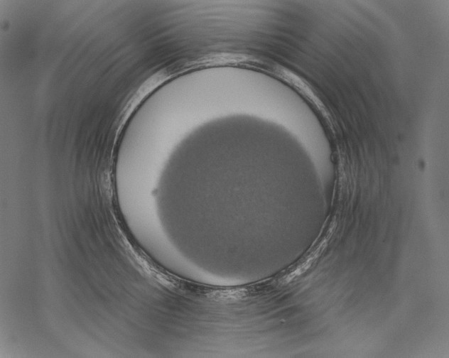 X0000068750810200605191557