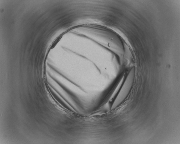 X0000068750815200605191557