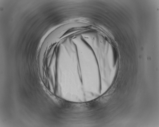 X0000068750816200605191557