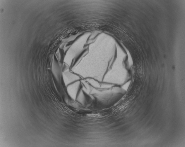 X0000068750818200605191556