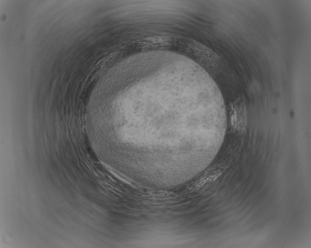 X0000068750819200605191556