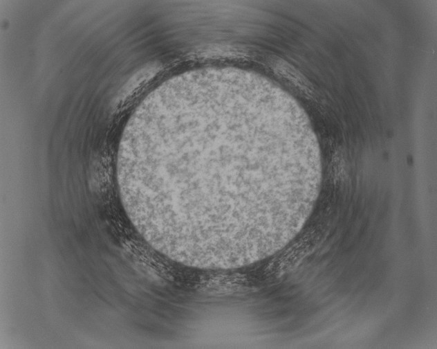 X0000068750824200605191556