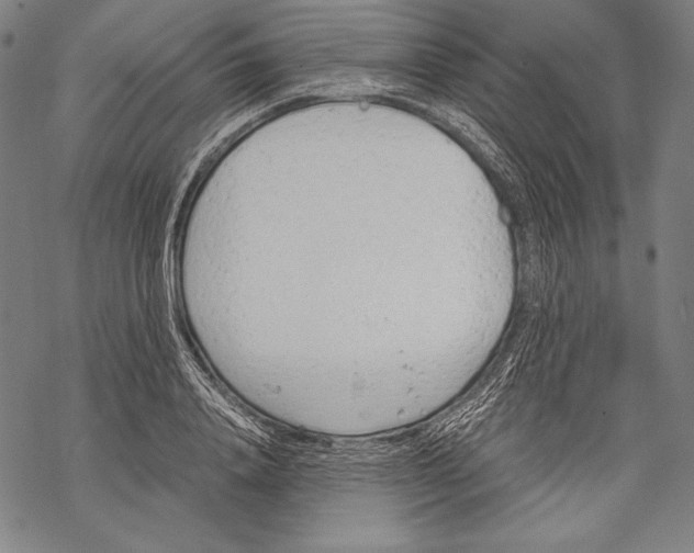 X0000068750840200605191556