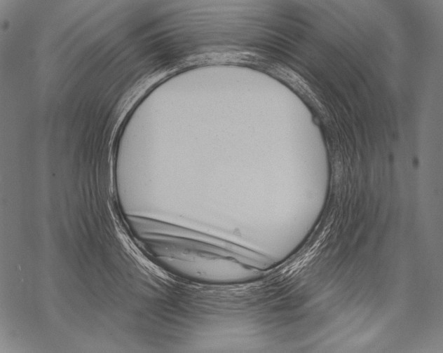 X0000068750844200605191556
