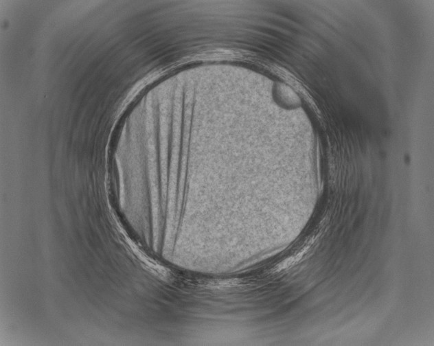 X0000068750845200605191556