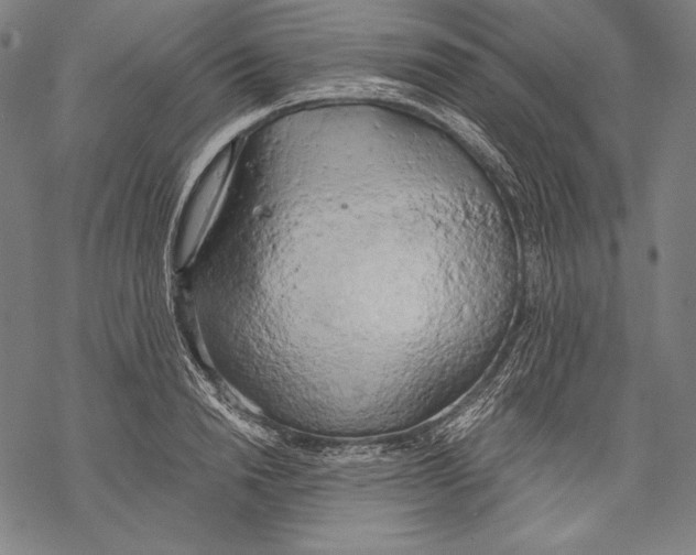 X0000068750846200605191556
