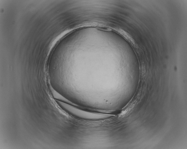 X0000068750854200605191557