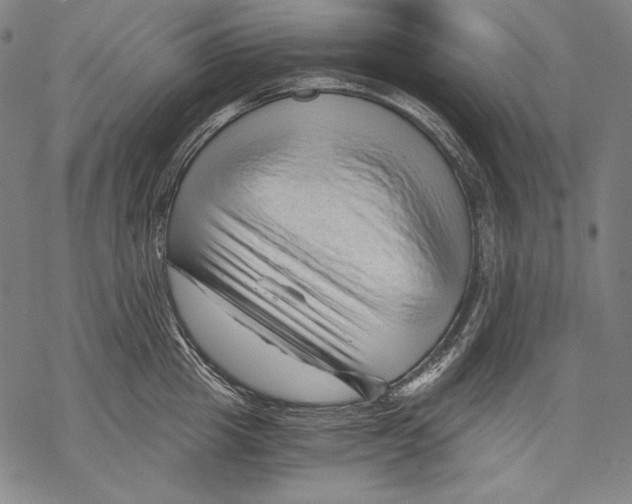 X0000068750857200605191557