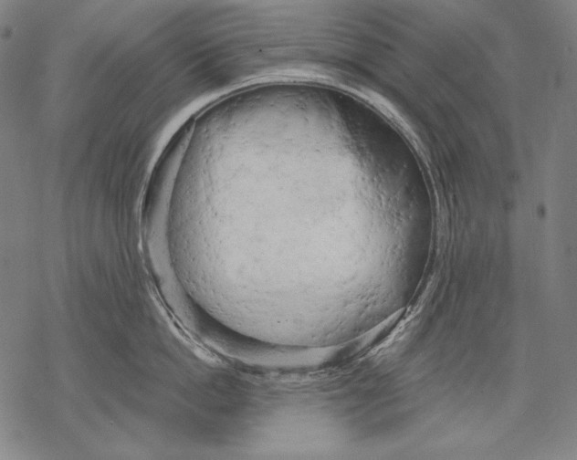 X0000068750862200605191557