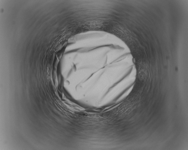 X0000068750866200605191556