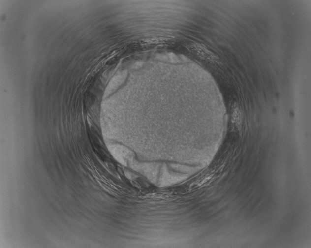 X0000068750868200605191556