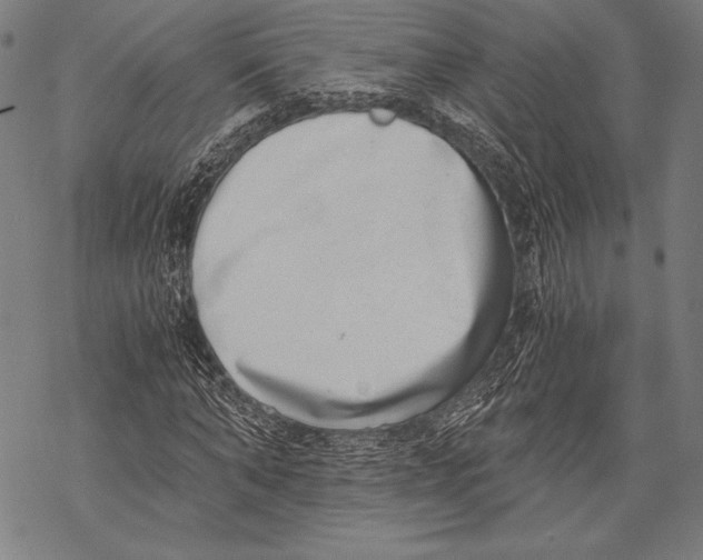 X0000068750870200605191556