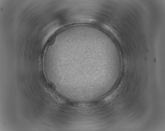 X0000068750875200605191556
