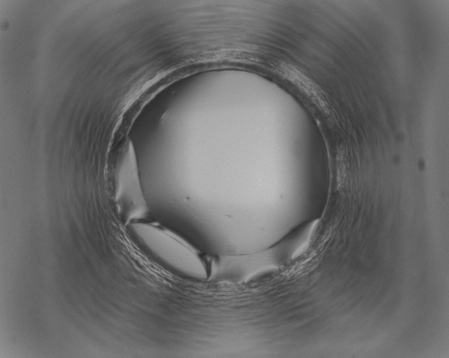 X0000068750876200605191556