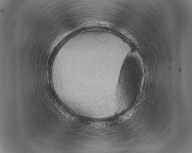 X0000068750877200605191556