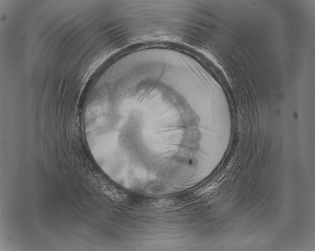 X0000068750879200605191556