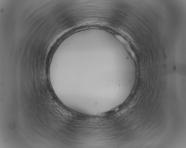 X0000068750880200605191556