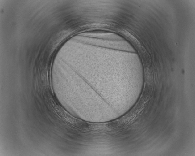 X0000068750886200605191556