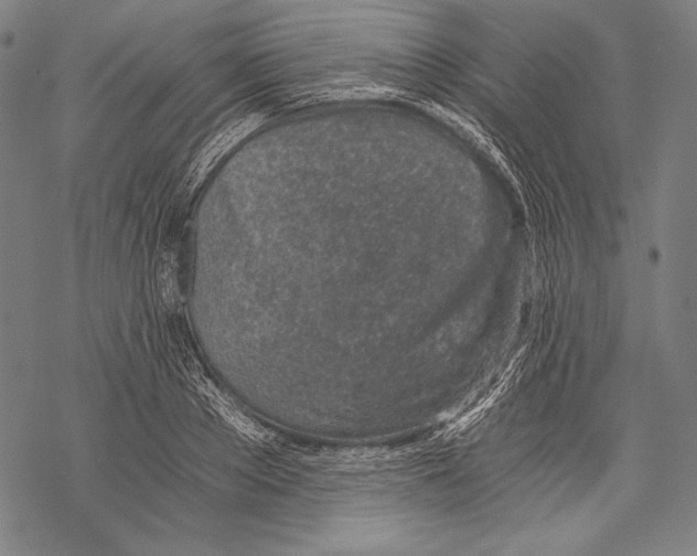 X0000068750889200605191556