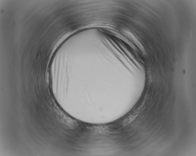 X0000068750900200605191555